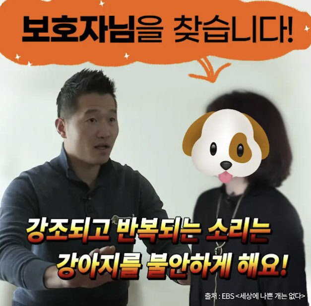 사진=유튜브 채널 ‘강형욱의 보듬TV’ 커뮤니티