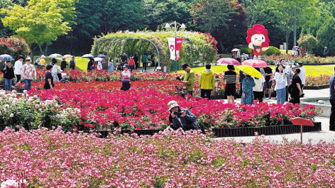 23일 울산대공원 장미축제를 찾은 관람객들이 사진을 찍고 있다. [SK이노베이션 제공]