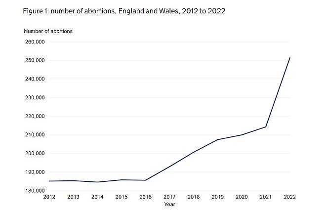 지난 2012년부터 2022년까지 영국 잉글랜드와 웨일스에서 시행된 임신중지 건수를 나타낸 선 그래프.(영국 통계청 보고서 발췌) 2024.05.24/