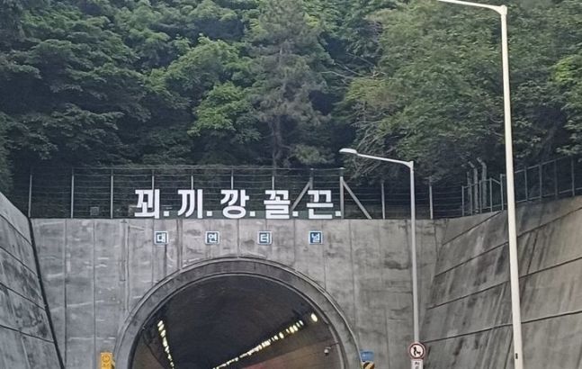 부산 도시고속도로 대연터널 위에 '꾀끼깡꼴끈'이란 문구가 등장해 시민 빈축을 샀다. [사진출처=온라인 커뮤니티]