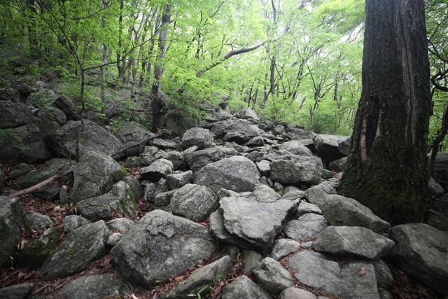 화엄사에서 노고단까지는 험하고 가파른 길이 계속된다. ⓒ박준규