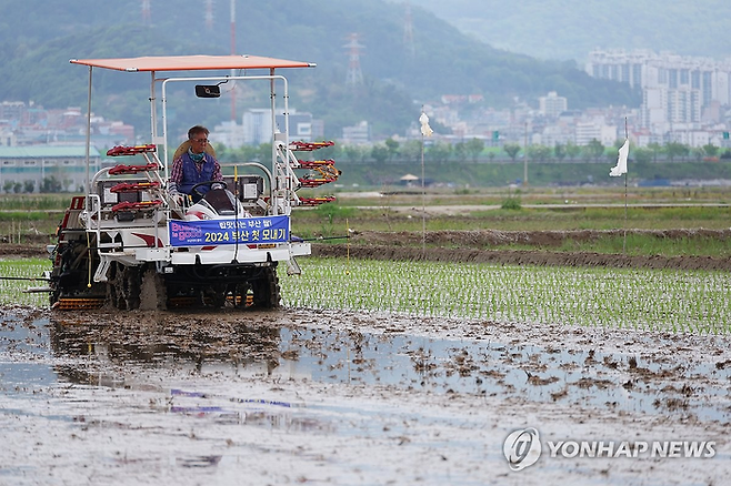 [사진 = 연합뉴스]