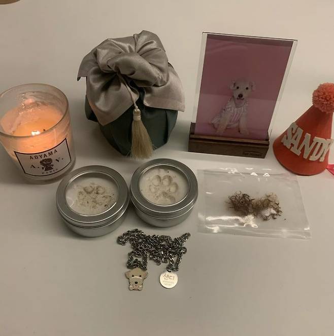 10년 생을 함께하고 황망하게 떠난 샌디가 남긴 흔적들./사진=샌디 보호자 제공