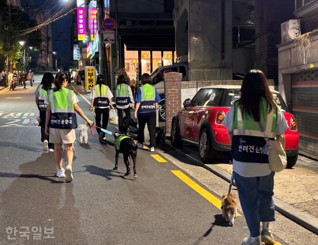반려견 순찰대가 22일 저녁 서울 강남구 도곡동 골목에서 청소년 선도 야간 순찰을 진행하고 있다. 김소희 기자