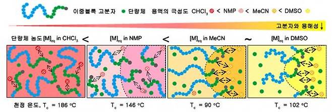 이중블록 고분자와의 용해성이 떨어지는 선택적 용매에서 중합을 진행했을 때 발생하는 고분자 자기조립의 모식도. KAIST