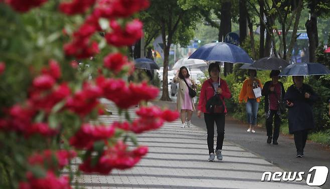 27일 대전·충남엔 새벽까지 대부분의 지역에 비가 내릴 것으로 예보됐다. 대전 서구 한 거리에서 우산을 쓴 시민들이 발걸음을 재촉하고 있다. /뉴스1 ⓒ News1 주기철 기자