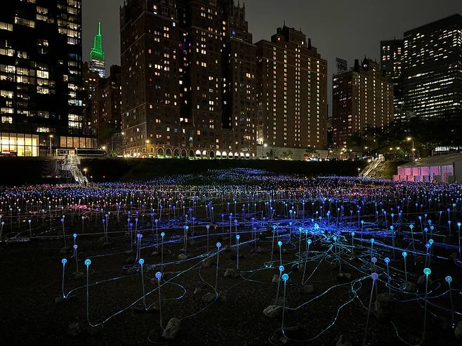 뉴욕의 ‘빛의 들판(Field of Light)’ 전시. 섬세한 색상과 채도의 점이(漸移)가 펼치는 ‘빛의 조경’은 벌판을 꽃밭으로 바꾸었다.