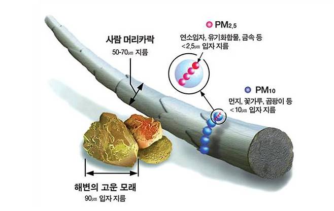 머리카락과 꽃가루, 초미세먼지 등 크기 구분 / 출처=환경부