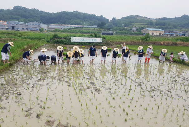 함안화천농악과 함께하는 함안생생축제 6월 1일 진행[이미지제공=함안군]