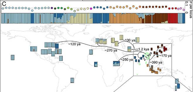 연구진은 독일바퀴가 벵골만에서 시작해 두 차례 서쪽으로, 이후에는 동쪽으로 퍼져나갔다고 추정했다. 첸탕/미국립과학원회보 제공