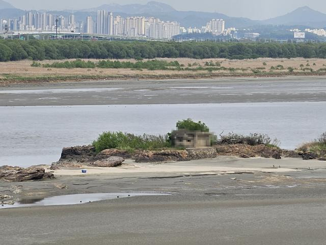 한강 위에 떠 있는 외로운 섬 독도 현재 모습. 김포시 제공