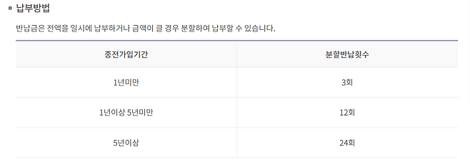 반납금은 전액을 일시에 납부하거나 금액이 큰 경우 분할 납부할 수 있다./사진=국민연금공단 홈페이지