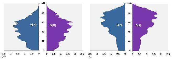 2022년(왼쪽)과 2052년(오른쪽) 시도별 인구피라미드. 통계청 제공