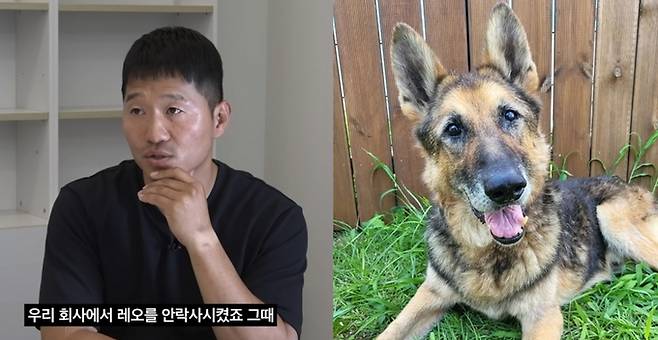 반려견 훈련사 강형욱이 경기 남양주에 위치한 보듬컴퍼니 사무실에 수의사를 불러 레오를 안락사 시켰다고 밝힌 가운데, 출장 안락사에 불법 소지가 있다는 주장이 제기됐다. 유튜브 채널 ‘강형욱의 보듬TV’·강형욱 인스타그램 캡처