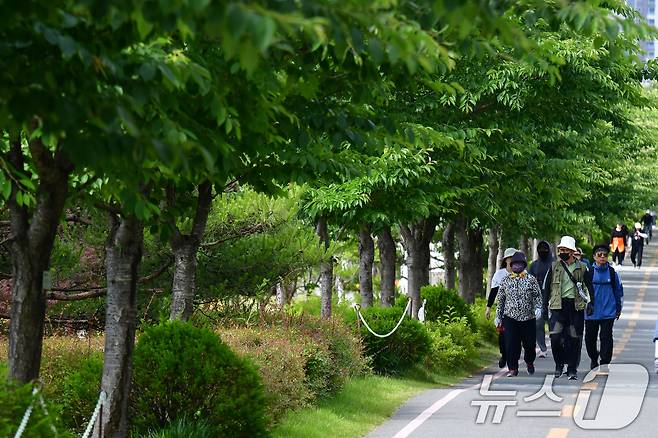 28일 경북 포항시 남구 대잠동 철길숲에서 산책 니온 시민들이 나무 그늘을 따라 걷고 있다. 2024.5.28/뉴스1 ⓒ News1 최창호 기자