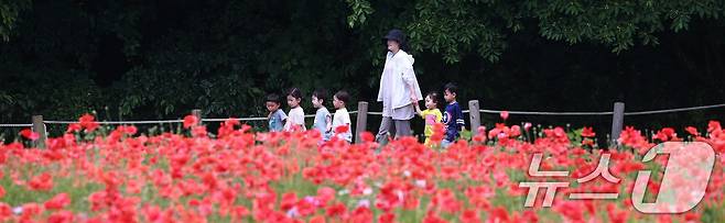 28일 경남 함양군 상림공원을 찾은 어린이들이 양귀비꽃을 구경하며 즐거운 시간을 보내고 있다. (함양군 김용만 제공) 2024.5.28/뉴스1