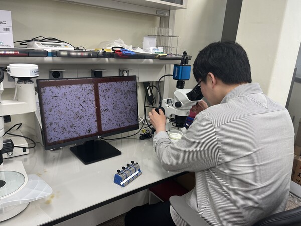 경남도수산안전기술원에 도내 해역에서 퍼온 바닷물에서 유생을 살펴보고 있다. /경남도