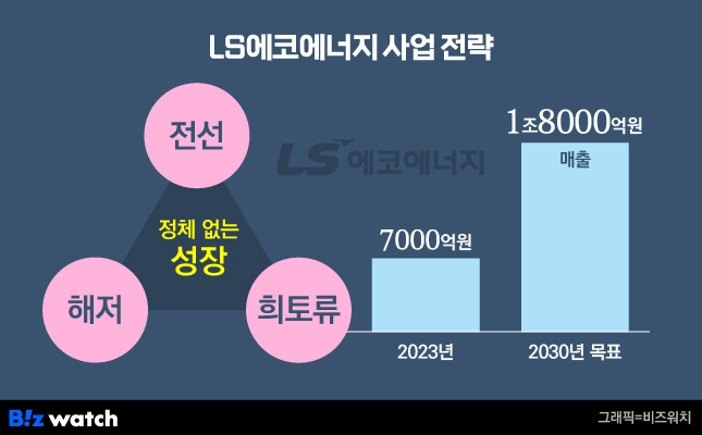 LS에코에너지 사업 전략./그래픽=비즈워치