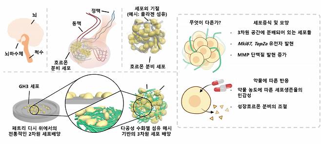 이번 연구 모식도.[GIST 제공]