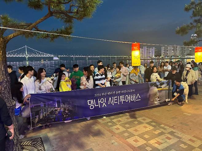 반려견과 함께하는 '부산 댕댕 나이트 시티투어' 특별 야경투어
