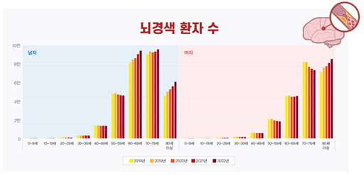 [출처 : 건강보험심사평가원 HIRA 빅데이터 개방포털/진료코드 I63 뇌경색증]