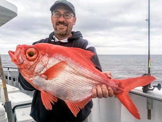 7ce5d622b78a39a338e780e0458577694da887116a9e4fc376a97e03e51b846d