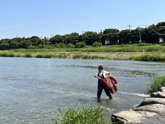 전북환경운동연합 관계자가 지난달 29일 전주시 삼천에서 이곳에 서식하는 물고기 종류를 확인하기 위해 그물을 던지고 있다. 사진 전북환경운동연합