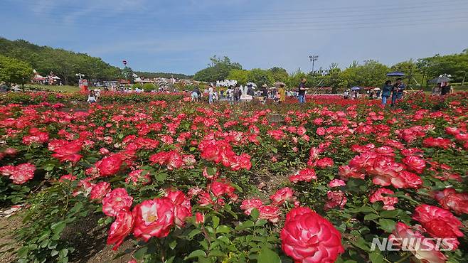 [울산=뉴시스] 배병수 기자 = ‘제16회 울산대공원 장미축제’가 22일 울산 남구 대공원 장미원 및 남문광장 일원에서 ‘러브스토리 인 울산’을 주제로 개막하였다. 장미원을 찾은 많은 시민들과 관광객들이 300만송이 장미향 가득한 장미꽃길을 거닐고 있다. 2024.05.22. bbs@newsis.com.