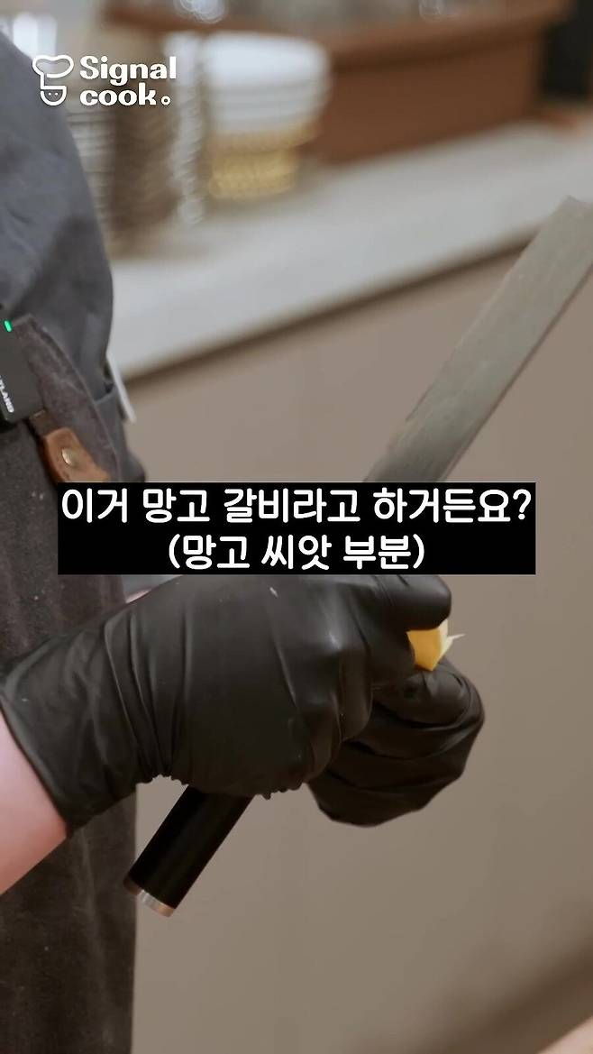 Internet_20240602_180153_1.jpeg 망고 갈비(씨앗부분) 절대 빨면 안되는 이유.jpg