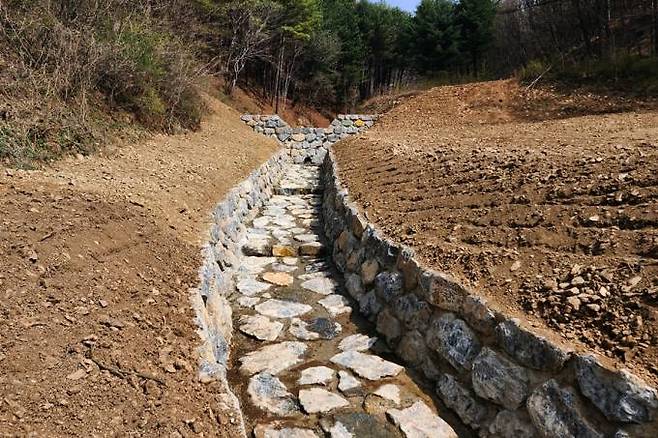 지난해 대규모 산사태가 발생한 경북 영주시 풍기면 임야를 복구한 모습. 산림청 