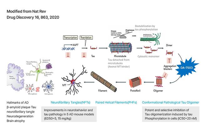 동아에스티가 개발 중인 타우 단백질 타깃 알츠하이머 신약 후보물질 기전.(동아에스티 제공)/뉴스1 ⓒ News1