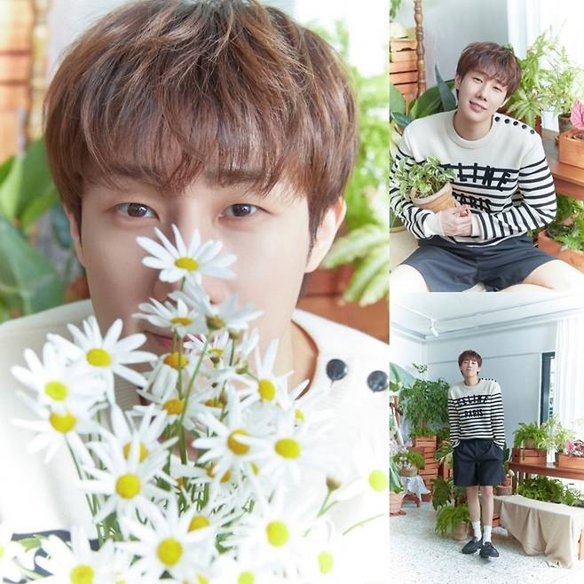 사진=인피니트 컴퍼니