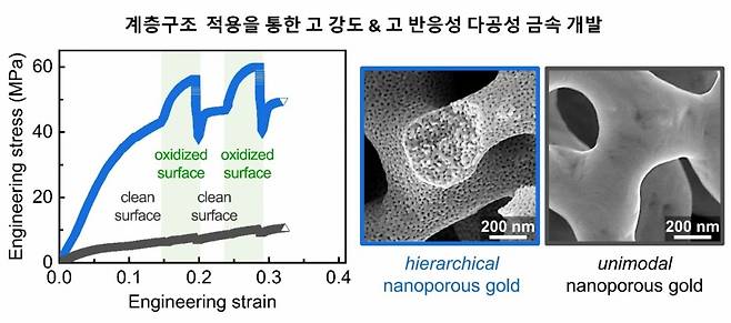 전한솔 교수의 연구자료 이미지./사진제공=계명대