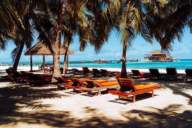 선베드 위로 야자수가 흔들린다