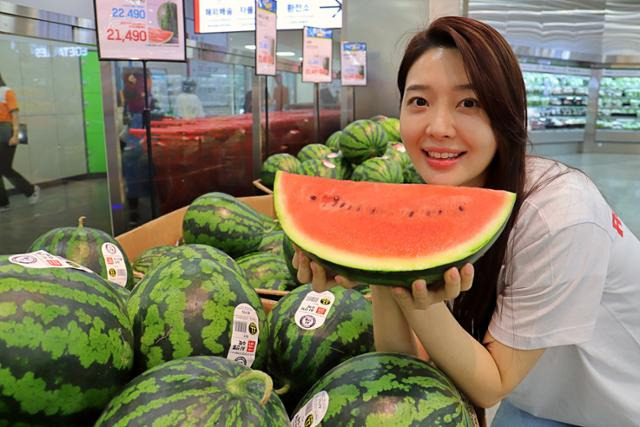 롯데마트에서 판매하는 조각 수박. 롯데마트 제공