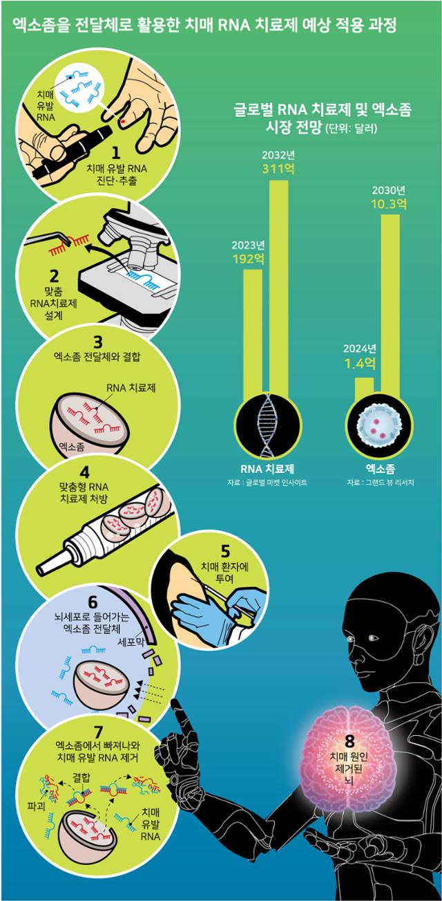 그래픽=강준구 기자