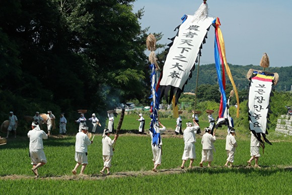 보은장안농요 재현 모습. [사진=보은군]