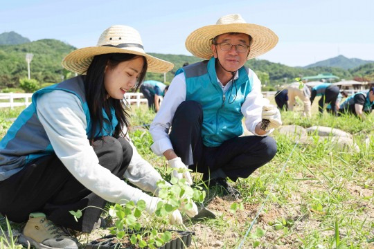 한국마사회 정기환 회장과 임직원 케나프 식재행사