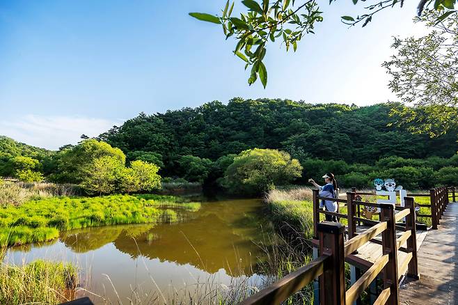 습지 위로 탐방로가 있어 산책하듯 둘러보기 좋다. 탐방로에 숨어 있는 글자를 찾아 다니며 스탬프 투어를 하면 보다 알차게 습지 탐방을 할 수 있다. / 양수열 영상미디어 기자