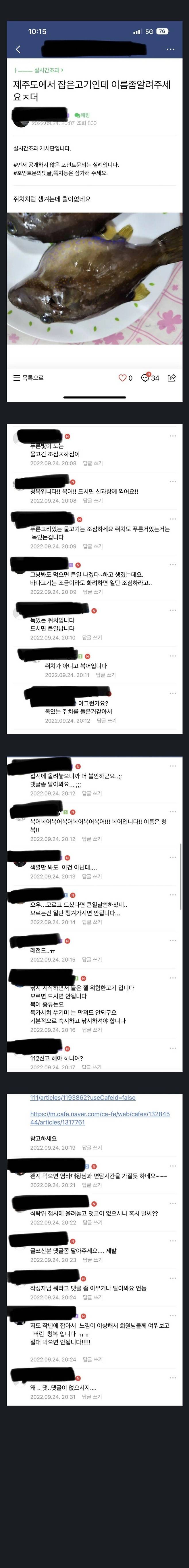 Screenshot_20220930-100138_Chrome.jpg "제주도에서 잡은 고기인데 이름 좀 알려주세요." "제주도에서 잡은 고기인데 이름 좀 알려주세요." jpg