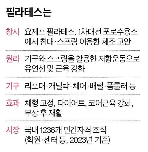 그래픽=양유정 기자 yang.yujeong@joongang.co.kr