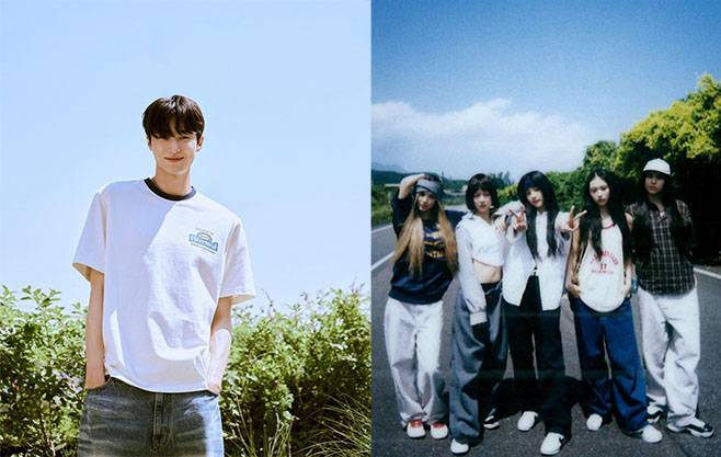 티브이데일리 포토