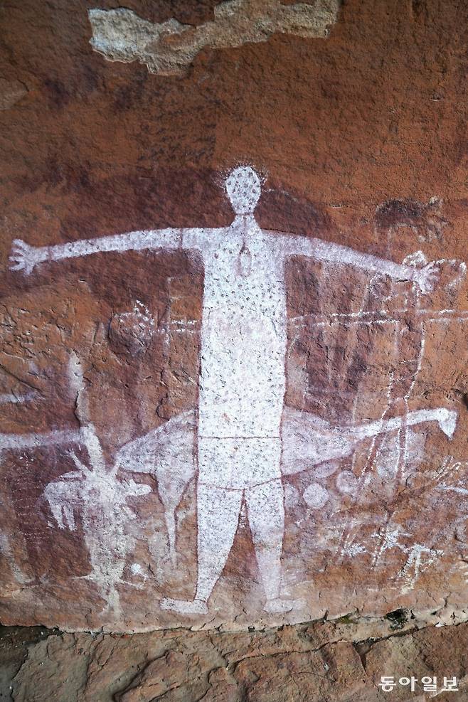 호주 퀸즐랜드주 케이프요크 반도 자라말리 암벽화 투어. 퀸즐랜드=전승훈 기자 raphy@donga.com