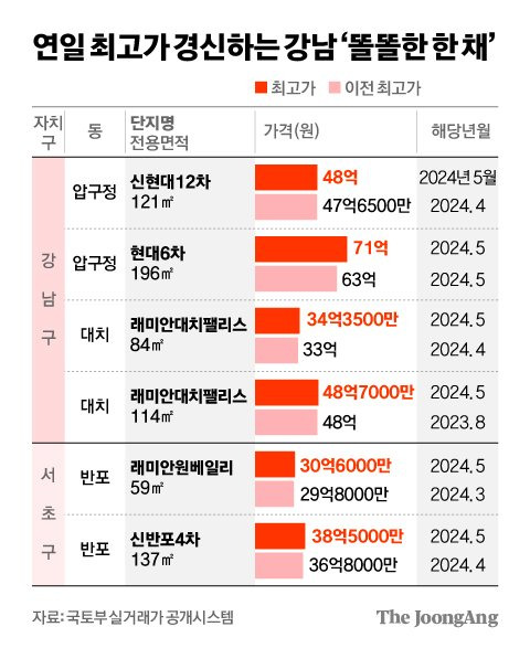 김영희 디자이너