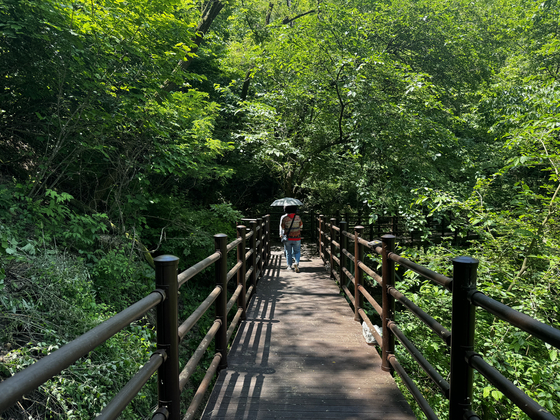 탐방객들이 고대산 무장애 산책로를 걷고 있다. 김홍준 기자