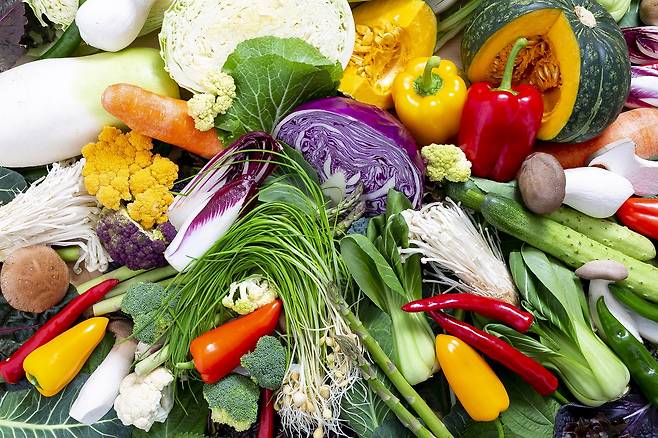 채소에 함유된 식물성 화학물질인 파이토케미컬은 암 예방 효과를 낸다./사진=클립아트코리아