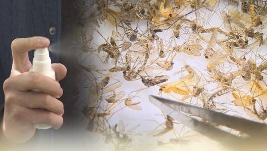 말라리아 / 사진=연합뉴스