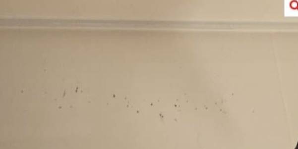 지난 8일 네이트판에 숙박앱을 통해 예약한 호텔을 방문했다가 사진과 다른 청결하지 못한 방 상태에 실망한 투숙객의 후기가 올라왔다. /사진=네이트판 캡처