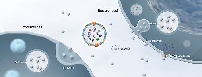 일리아스바이오로직스의 엑소좀 기술 모식도.[일리아스바이오로직스 제공]