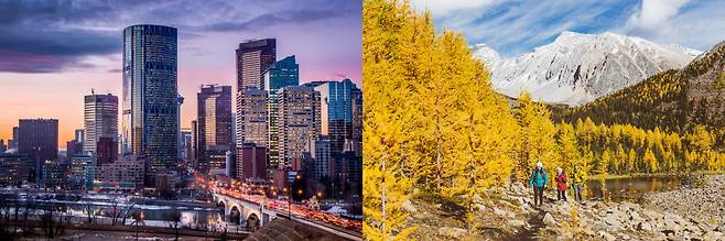 양수겸장 캘거리